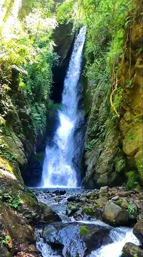Waterfall in a green Himalayan forest