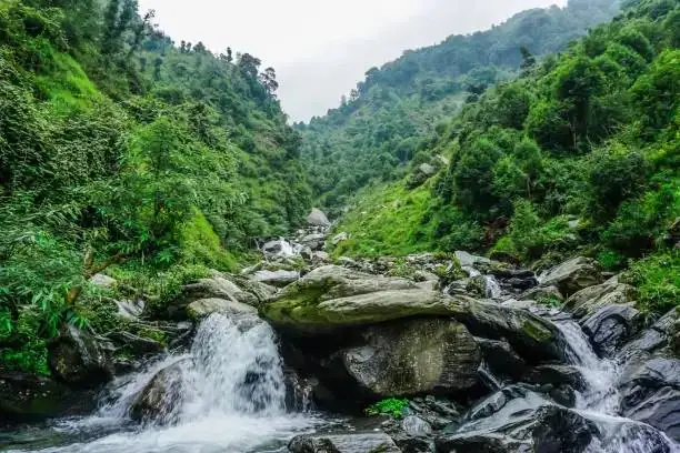 Open countryside in the Kangra foothills
